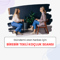 Birebir Tekli Koçluk Seansı